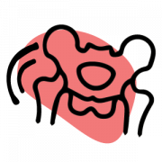 huefte gelenk Hüfte Gelenk icon